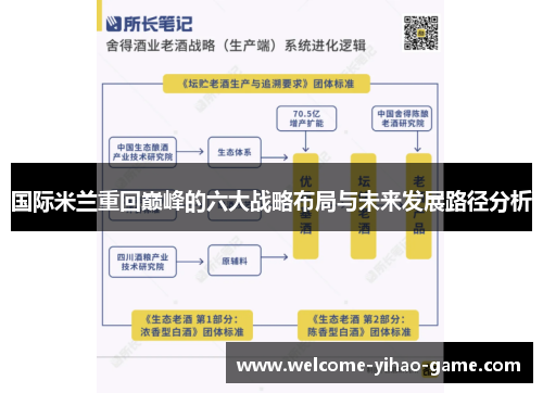 国际米兰重回巅峰的六大战略布局与未来发展路径分析