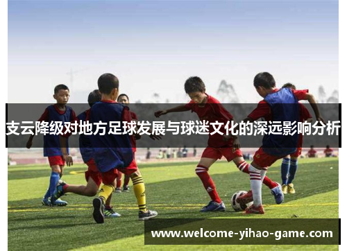 支云降级对地方足球发展与球迷文化的深远影响分析