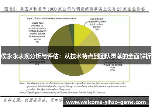 侯永永表现分析与评估：从技术特点到团队贡献的全面解析
