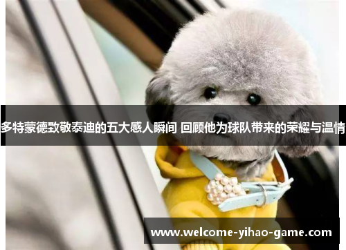 多特蒙德致敬泰迪的五大感人瞬间 回顾他为球队带来的荣耀与温情