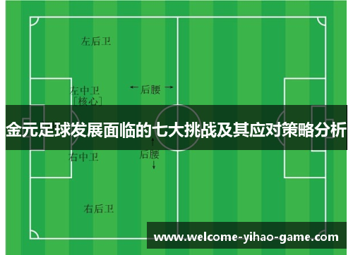 金元足球发展面临的七大挑战及其应对策略分析