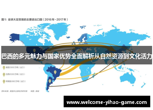 巴西的多元魅力与国家优势全面解析从自然资源到文化活力