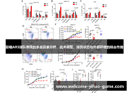 影响ARS球队表现的多重因素分析：战术调整、球员状态与外部环境的综合作用