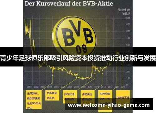 青少年足球俱乐部吸引风险资本投资推动行业创新与发展