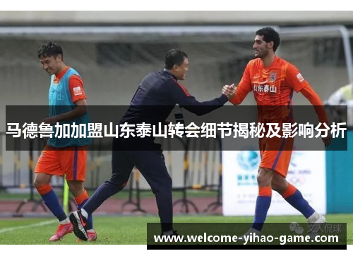 马德鲁加加盟山东泰山转会细节揭秘及影响分析