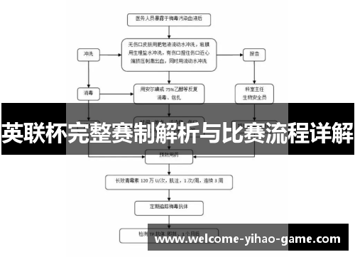 英联杯完整赛制解析与比赛流程详解