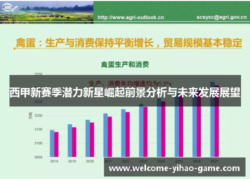 西甲新赛季潜力新星崛起前景分析与未来发展展望