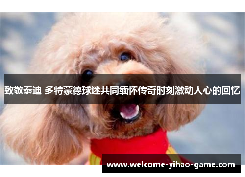 致敬泰迪 多特蒙德球迷共同缅怀传奇时刻激动人心的回忆