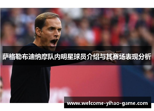 萨格勒布迪纳摩队内明星球员介绍与其赛场表现分析