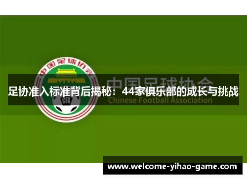 足协准入标准背后揭秘：44家俱乐部的成长与挑战